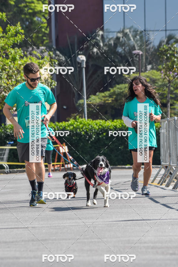 Buy your photos of the event2� Pet Run Shopping Eldorado  on Fotop
