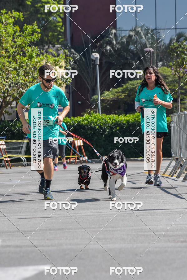 Buy your photos of the event2� Pet Run Shopping Eldorado  on Fotop
