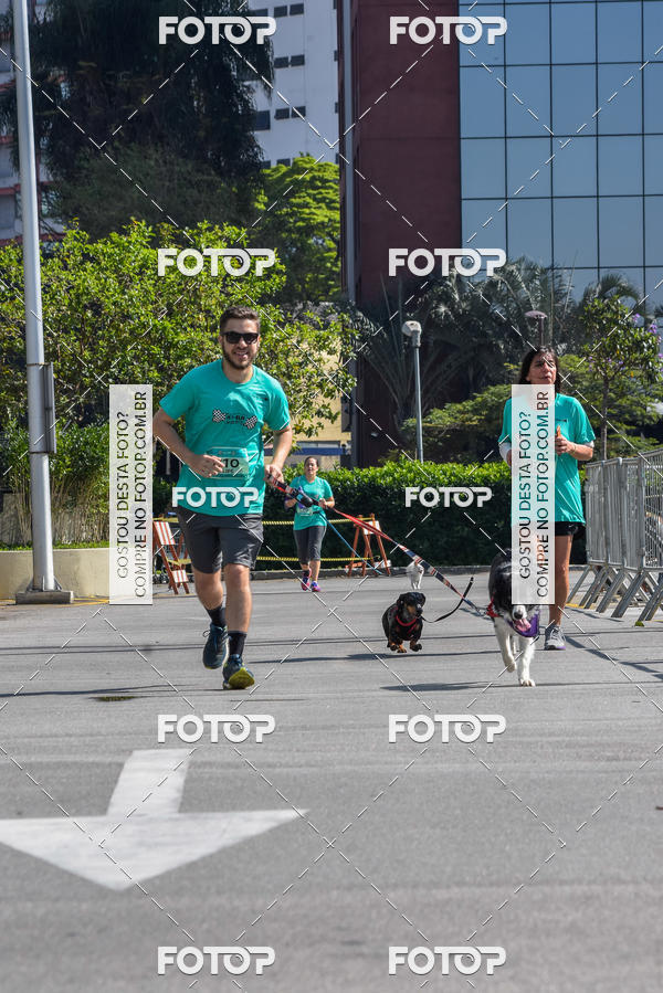 Buy your photos of the event2� Pet Run Shopping Eldorado  on Fotop