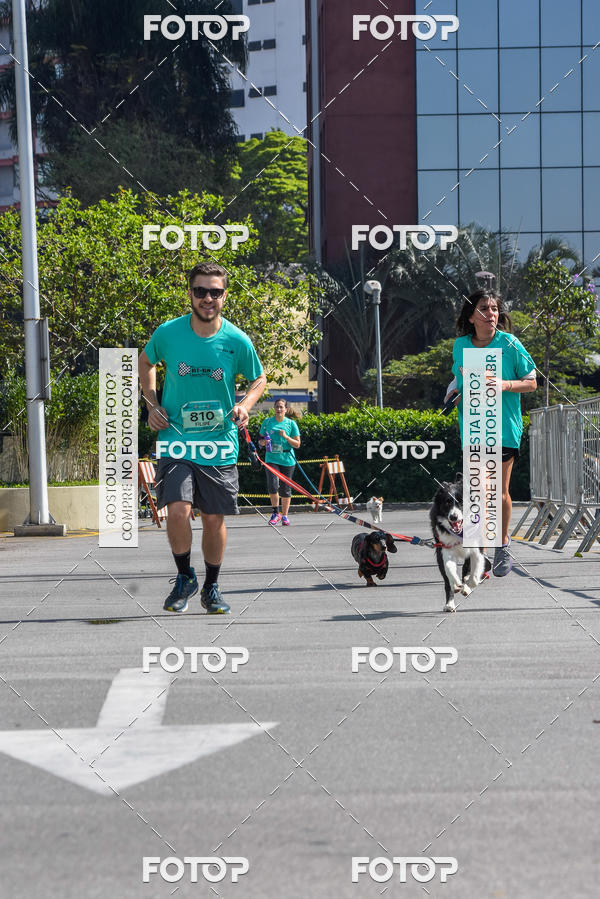 Buy your photos of the event2� Pet Run Shopping Eldorado  on Fotop