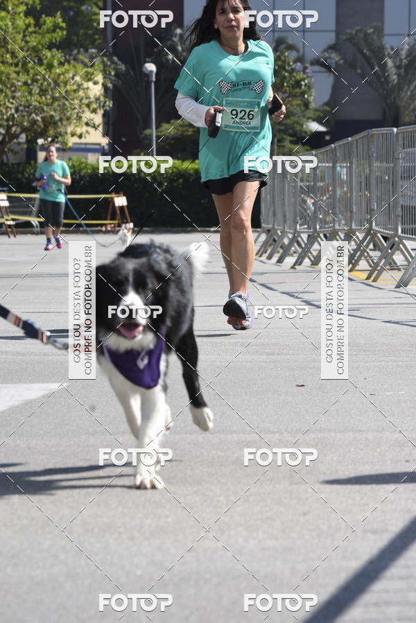 Buy your photos of the event2� Pet Run Shopping Eldorado  on Fotop