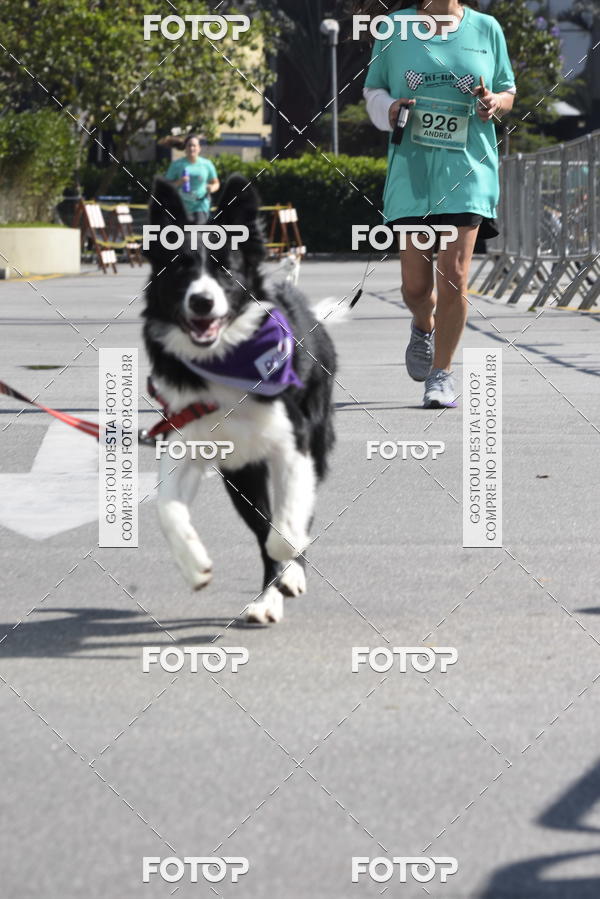 Buy your photos of the event2� Pet Run Shopping Eldorado  on Fotop