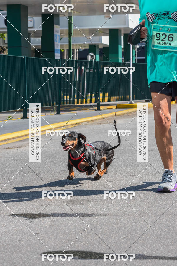 Buy your photos of the event2� Pet Run Shopping Eldorado  on Fotop