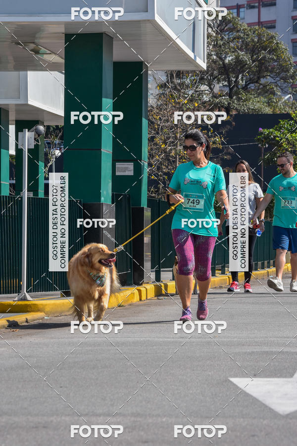 Buy your photos of the event2� Pet Run Shopping Eldorado  on Fotop