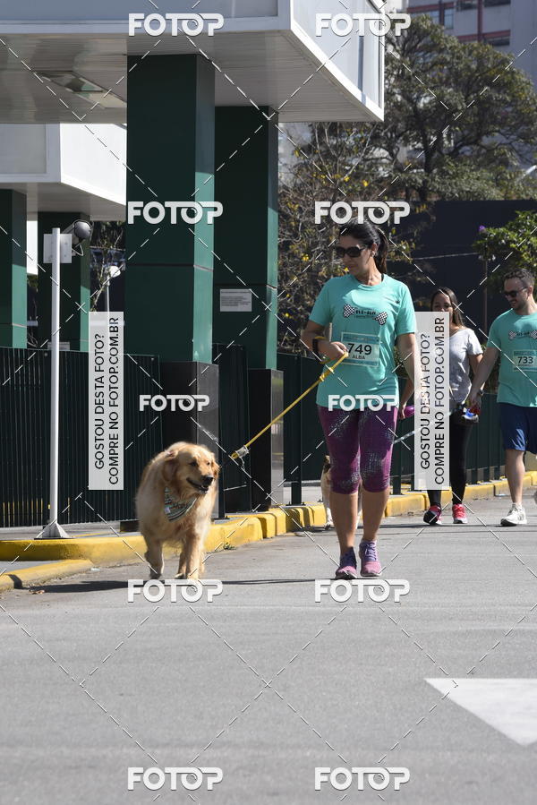 Buy your photos of the event2� Pet Run Shopping Eldorado  on Fotop