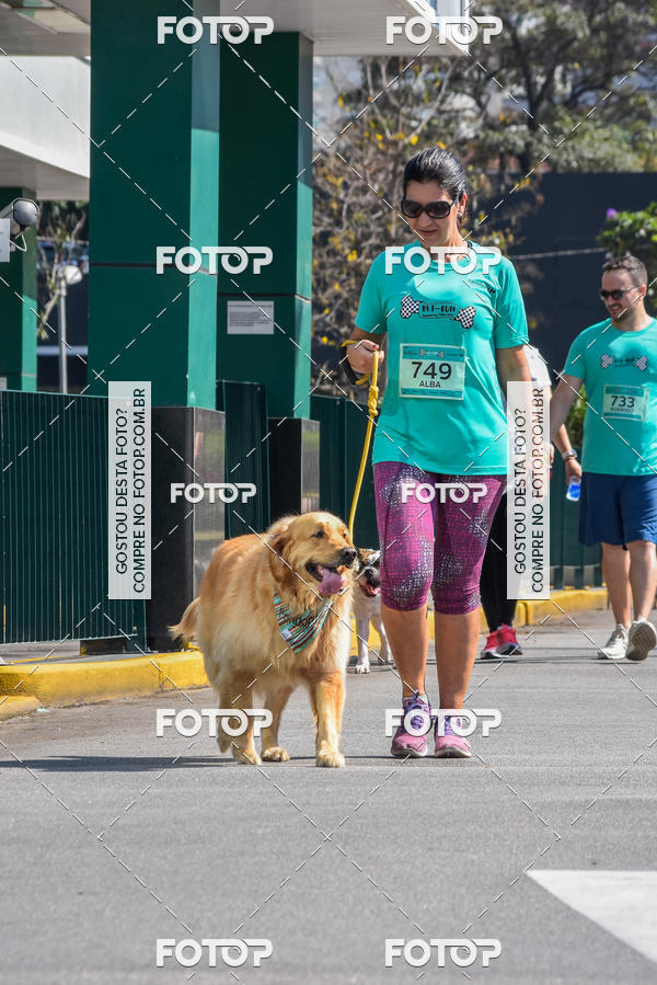 Buy your photos of the event2� Pet Run Shopping Eldorado  on Fotop