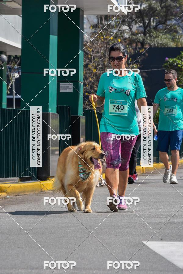 Buy your photos of the event2� Pet Run Shopping Eldorado  on Fotop