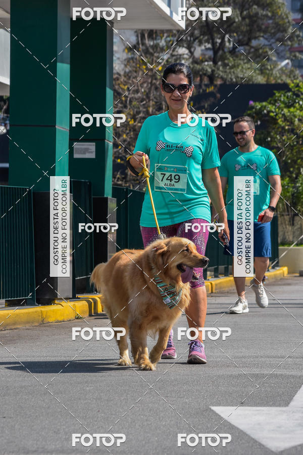 Buy your photos of the event2� Pet Run Shopping Eldorado  on Fotop