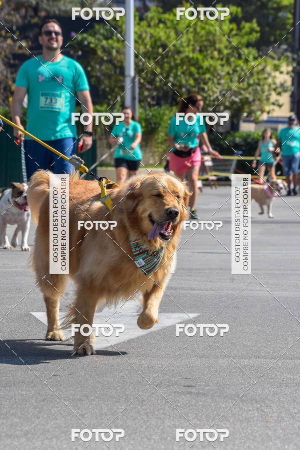 Buy your photos of the event2� Pet Run Shopping Eldorado  on Fotop