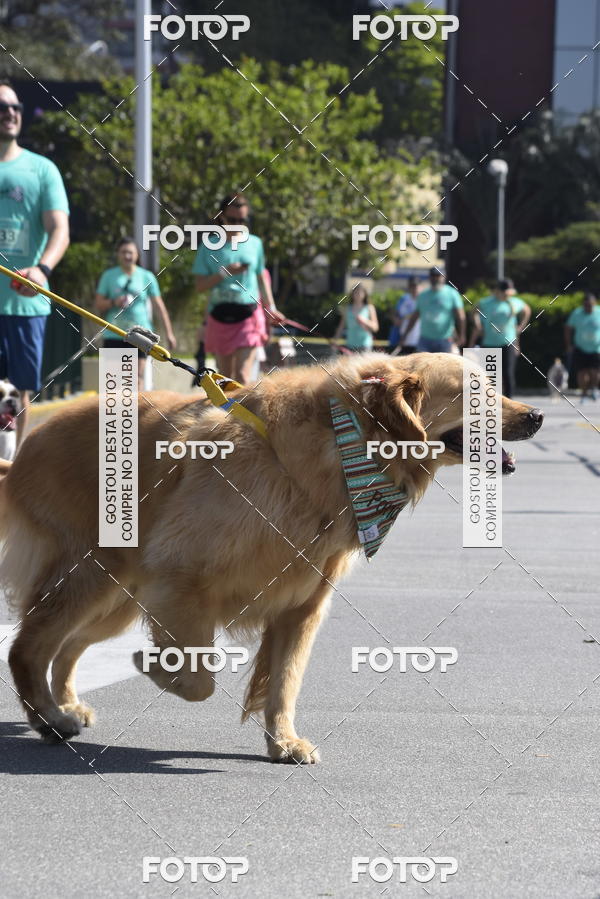Buy your photos of the event2� Pet Run Shopping Eldorado  on Fotop