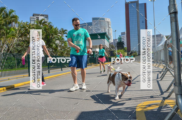 Buy your photos of the event2� Pet Run Shopping Eldorado  on Fotop