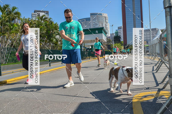 Buy your photos of the event2� Pet Run Shopping Eldorado  on Fotop