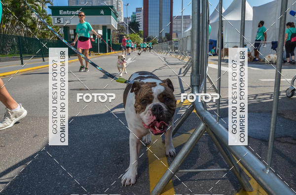 Buy your photos of the event2� Pet Run Shopping Eldorado  on Fotop