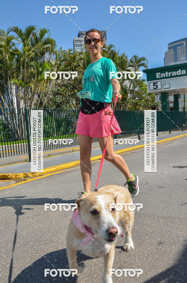 Buy your photos of the event2� Pet Run Shopping Eldorado  on Fotop