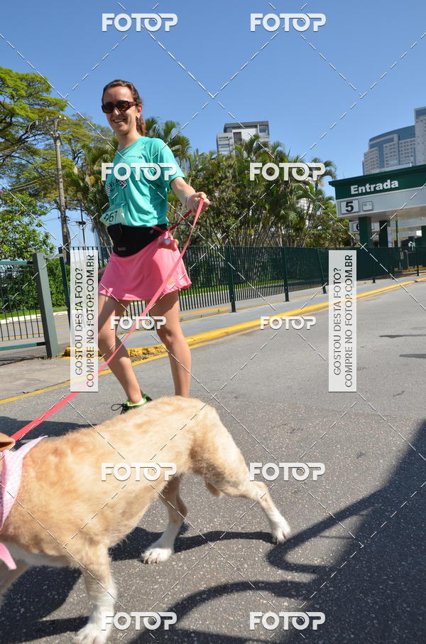 Buy your photos of the event2� Pet Run Shopping Eldorado  on Fotop
