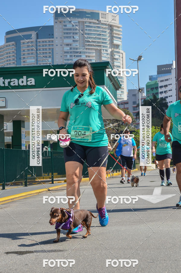 Buy your photos of the event2� Pet Run Shopping Eldorado  on Fotop