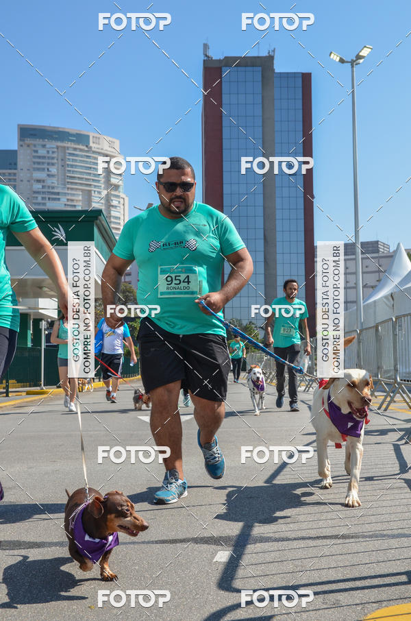 Buy your photos of the event2� Pet Run Shopping Eldorado  on Fotop