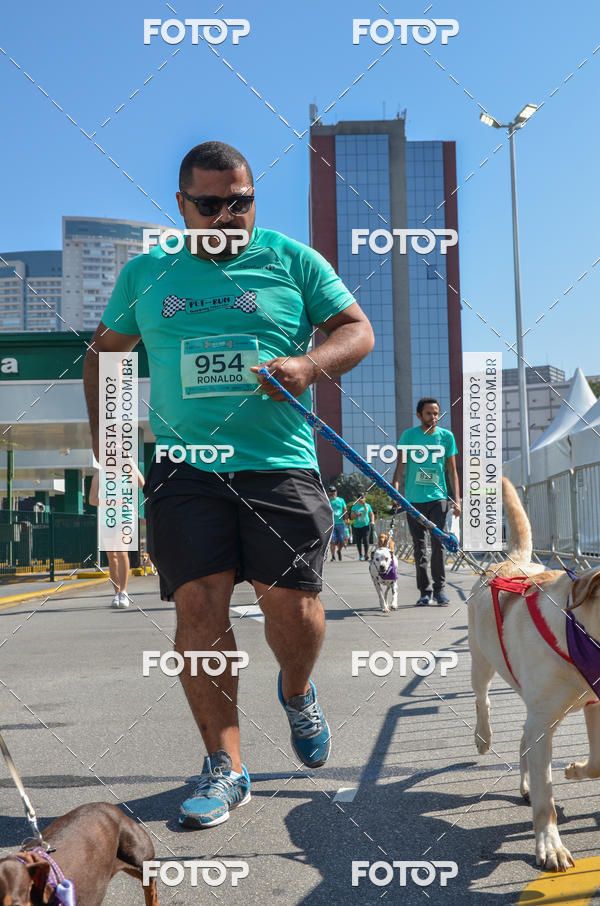 Buy your photos of the event2� Pet Run Shopping Eldorado  on Fotop