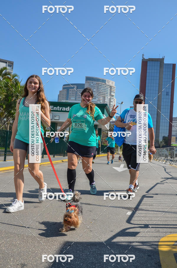 Buy your photos of the event2� Pet Run Shopping Eldorado  on Fotop