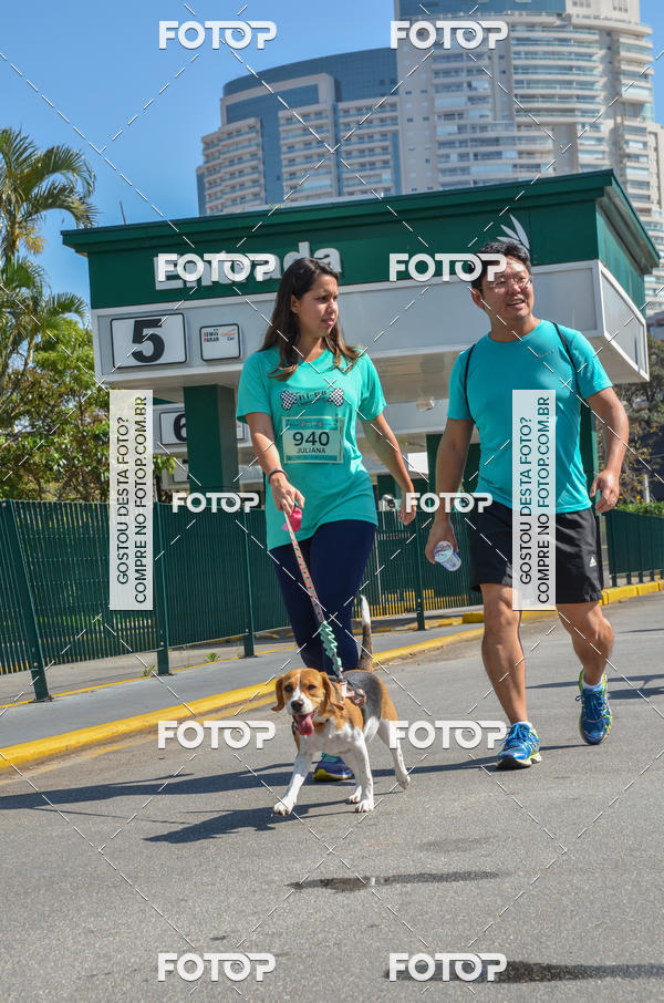 Buy your photos of the event2� Pet Run Shopping Eldorado  on Fotop