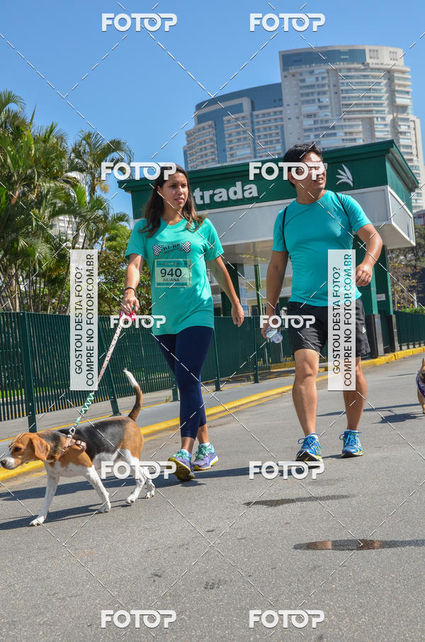 Buy your photos of the event2� Pet Run Shopping Eldorado  on Fotop