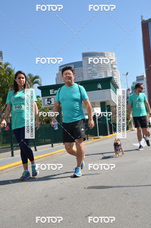 Buy your photos of the event2� Pet Run Shopping Eldorado  on Fotop