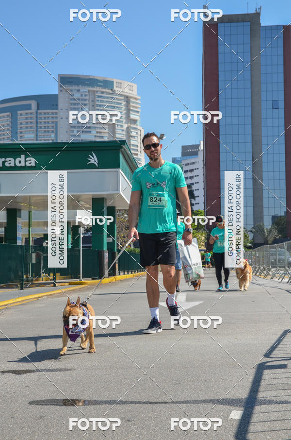 Buy your photos of the event2� Pet Run Shopping Eldorado  on Fotop