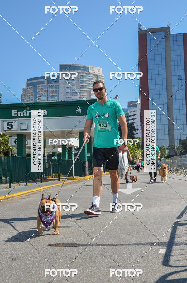 Buy your photos of the event2� Pet Run Shopping Eldorado  on Fotop