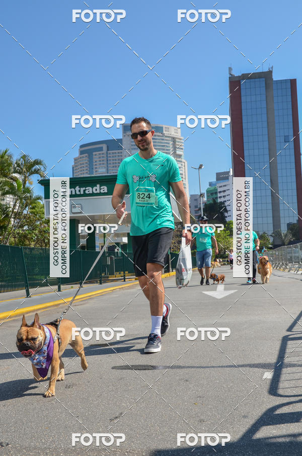 Buy your photos of the event2� Pet Run Shopping Eldorado  on Fotop