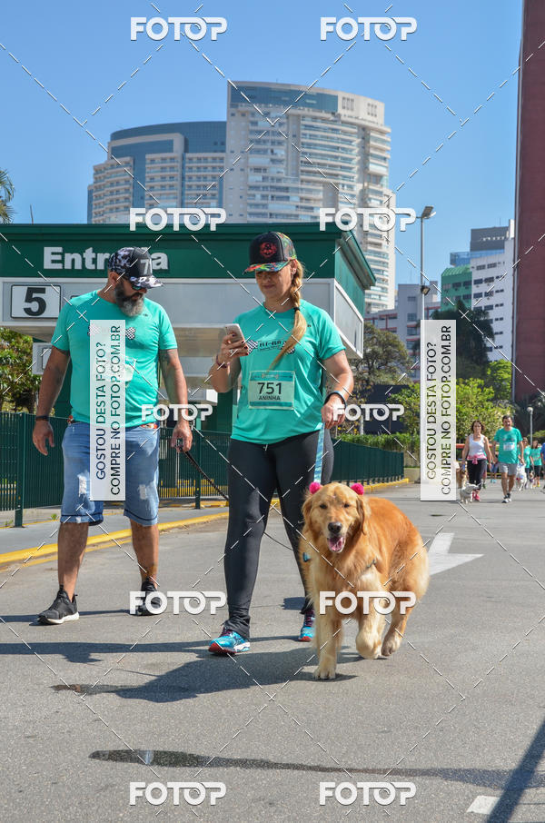 Buy your photos of the event2� Pet Run Shopping Eldorado  on Fotop