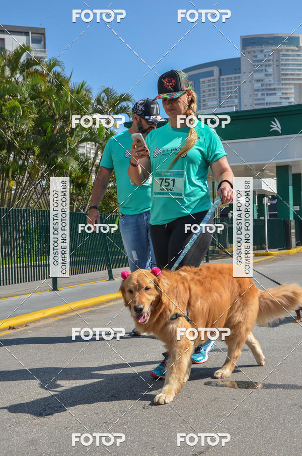 Buy your photos of the event2� Pet Run Shopping Eldorado  on Fotop