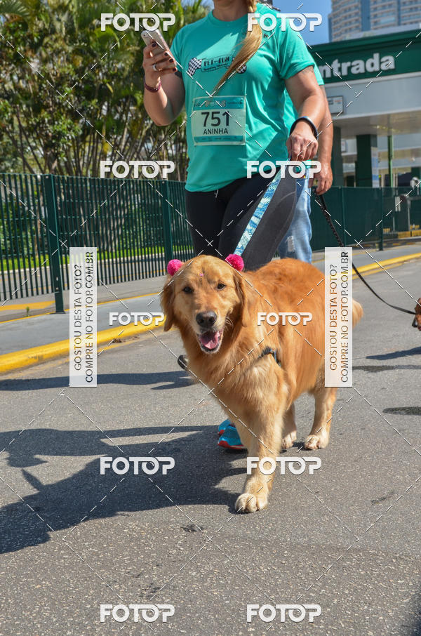 Buy your photos of the event2� Pet Run Shopping Eldorado  on Fotop