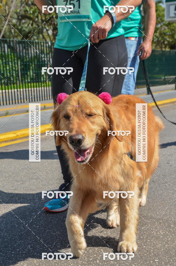 Buy your photos of the event2� Pet Run Shopping Eldorado  on Fotop