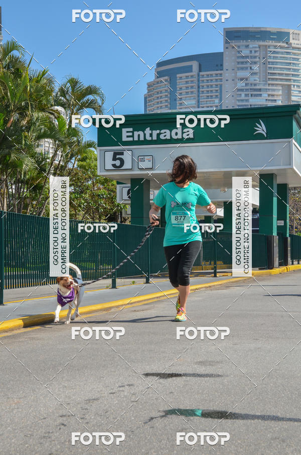 Buy your photos of the event2� Pet Run Shopping Eldorado  on Fotop