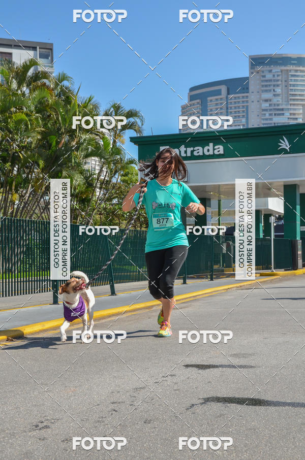 Buy your photos of the event2� Pet Run Shopping Eldorado  on Fotop