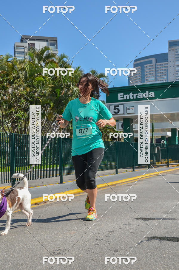 Buy your photos of the event2� Pet Run Shopping Eldorado  on Fotop