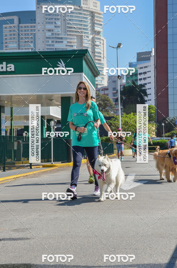 Buy your photos of the event2� Pet Run Shopping Eldorado  on Fotop