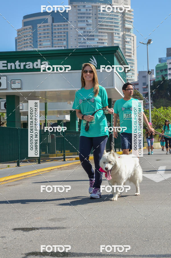 Buy your photos of the event2� Pet Run Shopping Eldorado  on Fotop