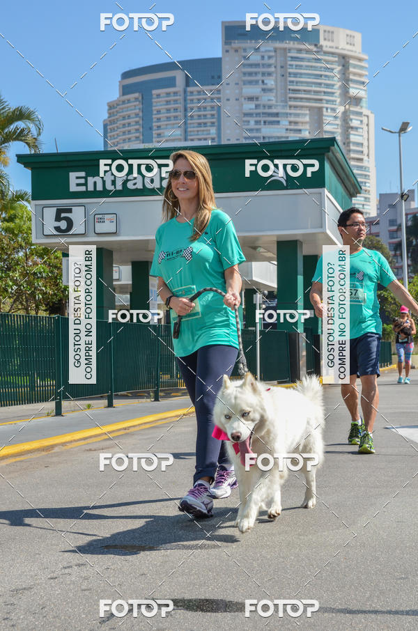 Buy your photos of the event2� Pet Run Shopping Eldorado  on Fotop