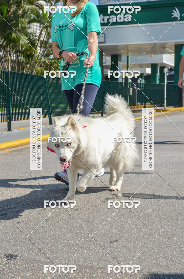 Buy your photos of the event2� Pet Run Shopping Eldorado  on Fotop