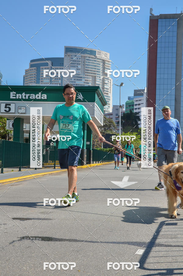 Buy your photos of the event2� Pet Run Shopping Eldorado  on Fotop