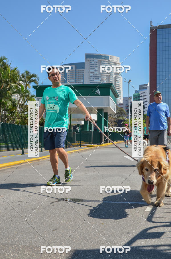 Buy your photos of the event2� Pet Run Shopping Eldorado  on Fotop