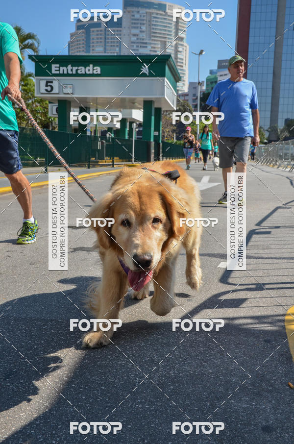 Buy your photos of the event2� Pet Run Shopping Eldorado  on Fotop