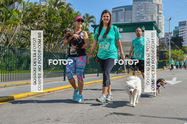 Buy your photos of the event2� Pet Run Shopping Eldorado  on Fotop