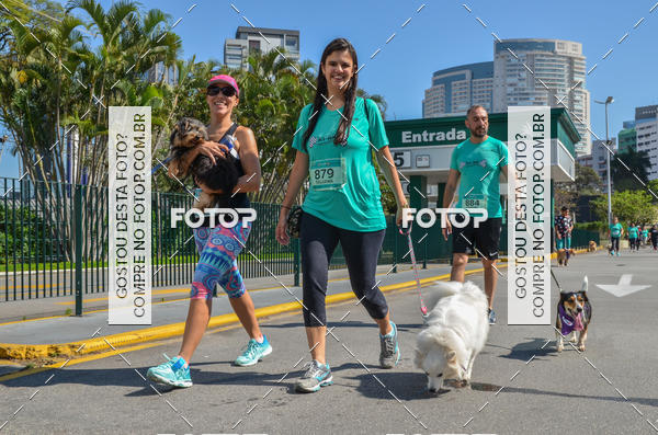 Buy your photos of the event2� Pet Run Shopping Eldorado  on Fotop