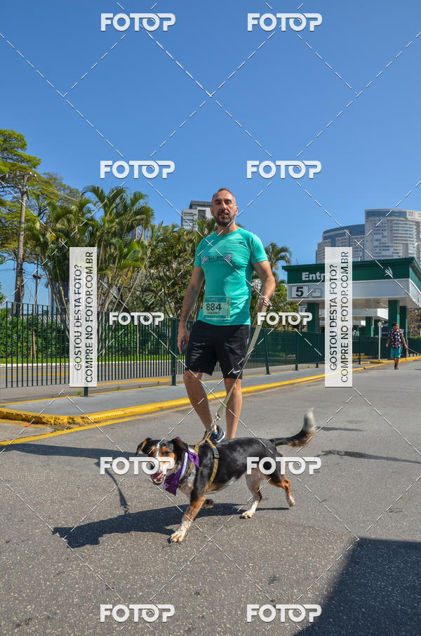 Buy your photos of the event2� Pet Run Shopping Eldorado  on Fotop