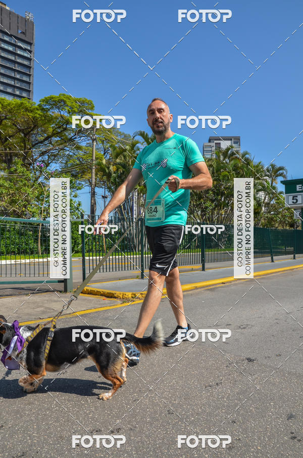 Buy your photos of the event2� Pet Run Shopping Eldorado  on Fotop