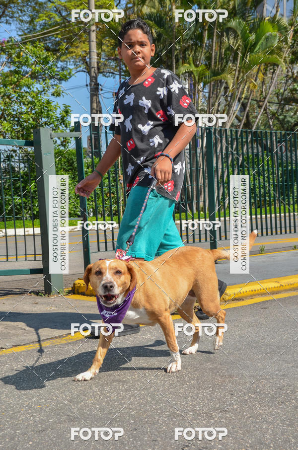 Buy your photos of the event2� Pet Run Shopping Eldorado  on Fotop