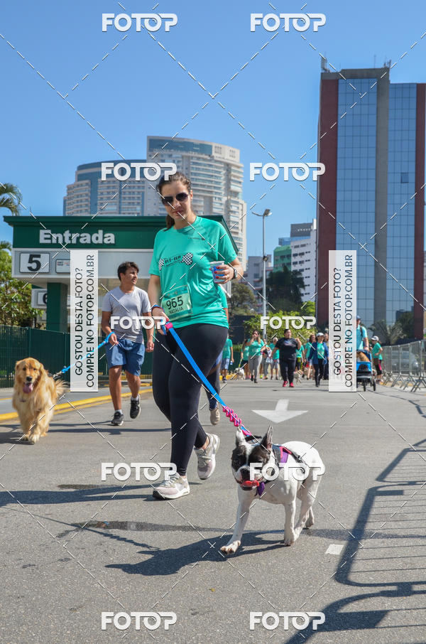 Buy your photos of the event2� Pet Run Shopping Eldorado  on Fotop