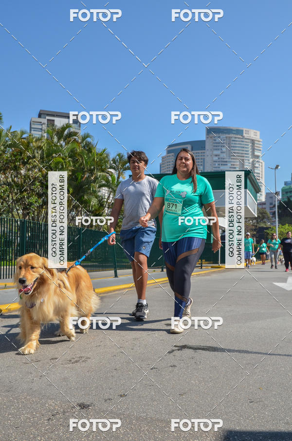 Buy your photos of the event2� Pet Run Shopping Eldorado  on Fotop